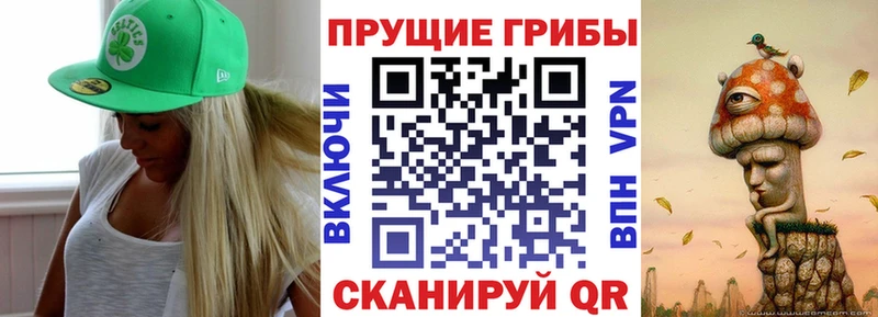 Галлюциногенные грибы GOLDEN TEACHER  Купить закладки  Тюкалинск 